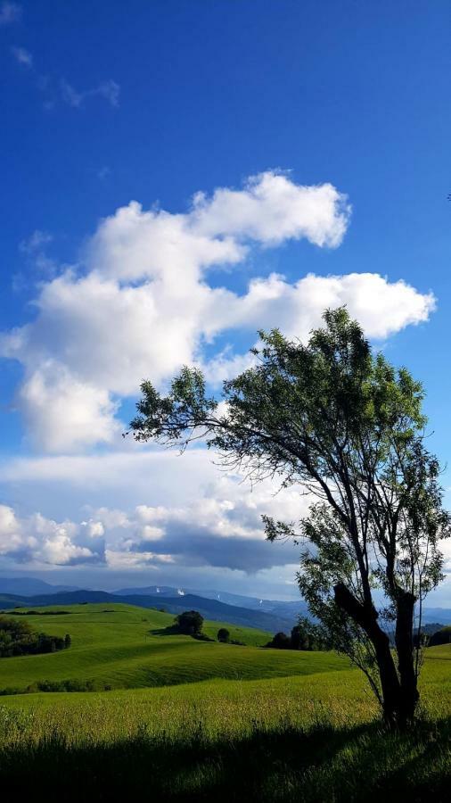 Borgo Fontaccia Bed & Breakfast San Gimignano Eksteriør bilde